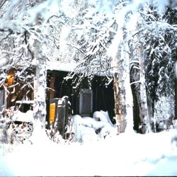 The Malemute Saloon - My Cabin out the back of the Hotel September 1977 to March 1978