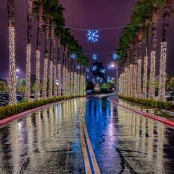 The Christmas Kings - Palm wraps and Starbursts installed at Temecula Promenade