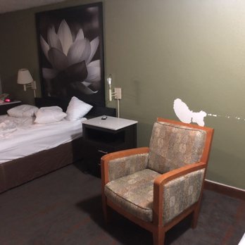 Super 8 by Wyndham Dunn - Hotels Near Me - Dunn, North Carolina Super 8 by Wyndham Dunn - Hotels Near Me - Dunn, North Carolina
