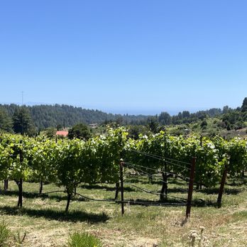 Soquel Vineyards - View from the patio. - Wineries Near Me - Soquel, California Soquel Vineyards - View from the patio. - Wineries Near Me - Soquel, California