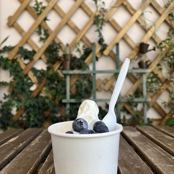 Cafe BT - Tart yogurt with blueberries - Coffee & Tea Near Me - Walnut, California
