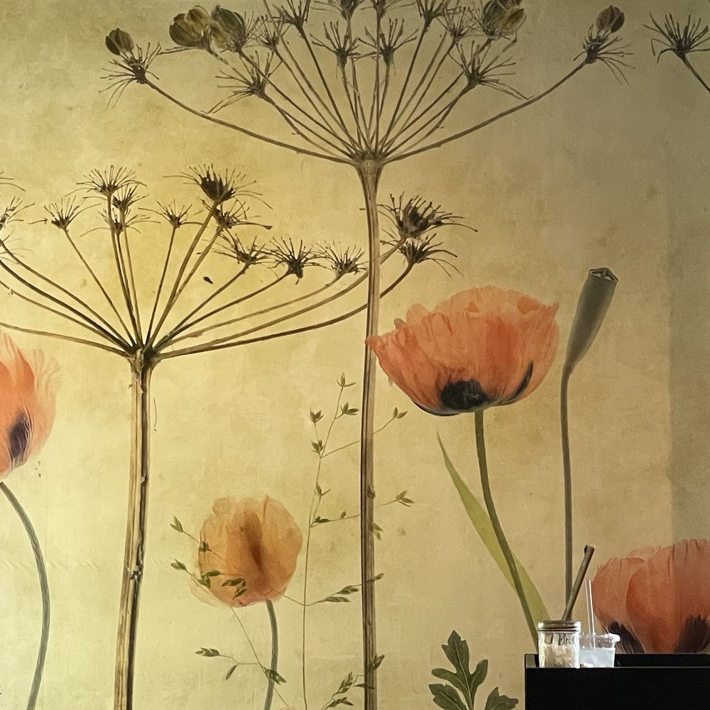 Poppy + Rose - Check in with the host, and wait to be seated. - Breakfast & Brunch Near Me - Los Angeles, California