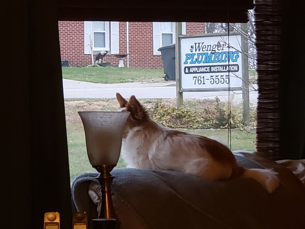 Slide of Wenger Plumbing & Appliance Installation