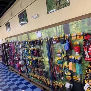 Pet Station - Sparks - Pet Stores Near Me - Sparks, Nevada Pet Station - Sparks - Pet Stores Near Me - Sparks, Nevada