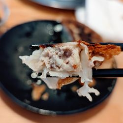 Japanese Ramen Gachi - Pan Fried Hanetsuki Gyoza