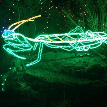 River Of Lights - Mantis - Festivals Near Me - Albuquerque, New Mexico