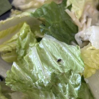 Simon & Seafort's Saloon & Grill - A bug in the salad Romaine Caesar - Seafood Near Me - Anchorage, Alaska Simon & Seafort's Saloon & Grill - A bug in the salad Romaine Caesar - Seafood Near Me - Anchorage, Alaska