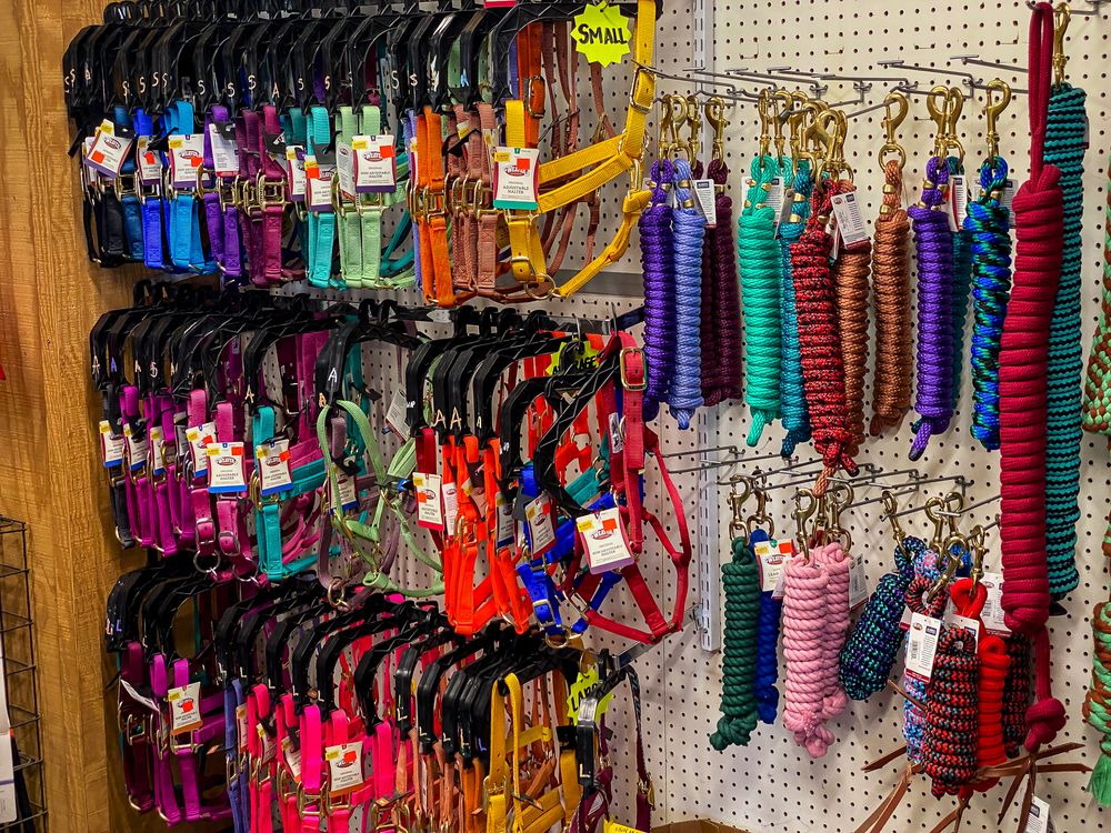 THE ROUNDUP FEED & PET SUPPLY Updated September 2024 31 Photos