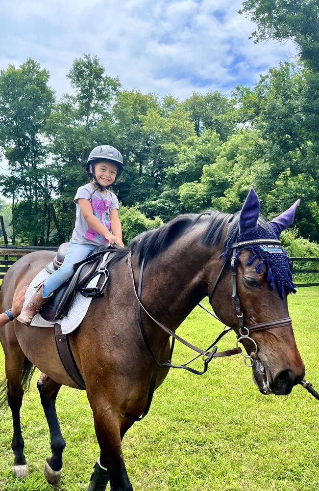 JOYEUX SHOW JUMPERS 10 Photos Spring Hill, Florida Horseback