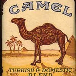 Camel Raucherlounge