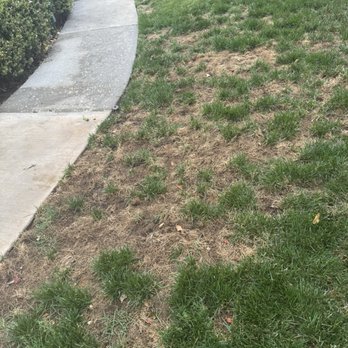 Delta Bluegrass Company - Landscaping Near Me Delta Bluegrass Company - Landscaping Near Me