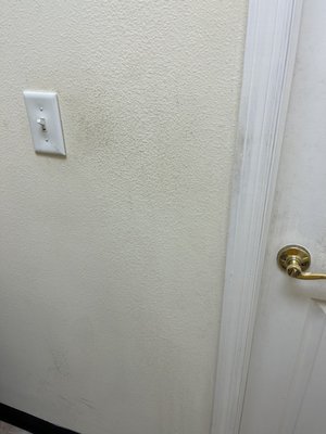 Causeway Diner by null