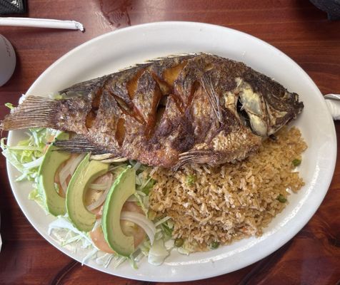 El Tapatio by null