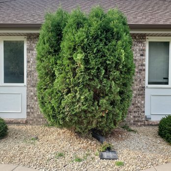 Midwest Yard Pros - Before the trim! - Snow Removal Near Me