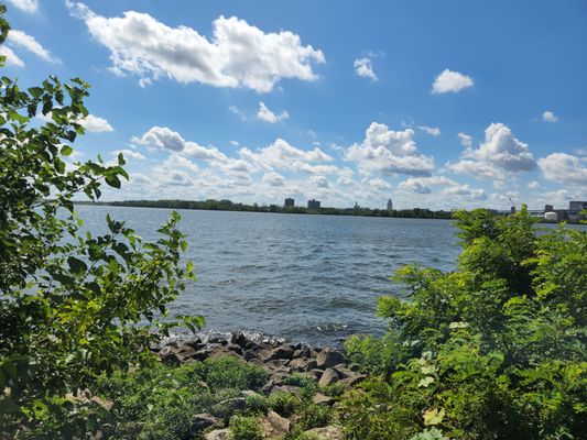 Penn Treaty Park by null