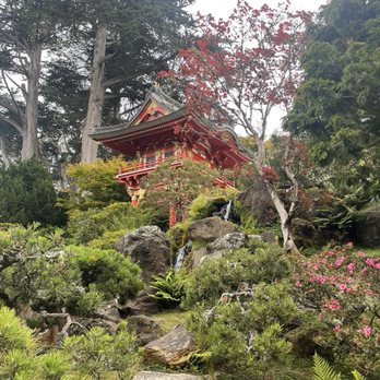 Japanese Tea Garden - pagoda - Tea Rooms Near Me - San Francisco, California