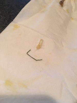 Umami Noodle Bar by null