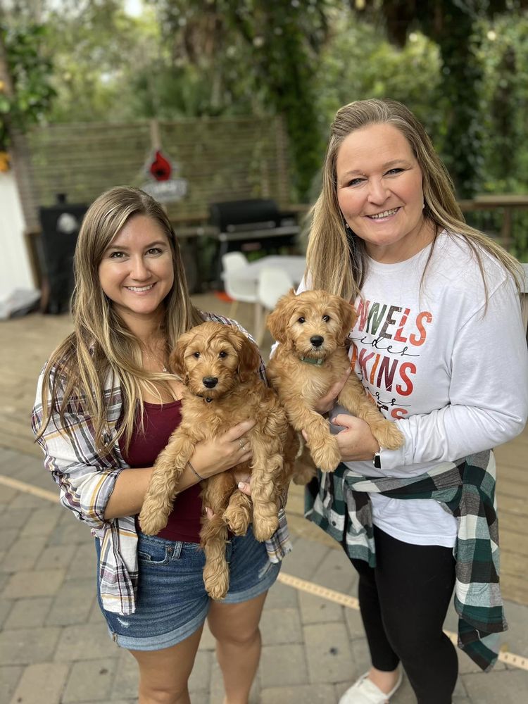 MY JOYFUL PUPPIES Updated April 2024 10 Photos Ocala, Florida