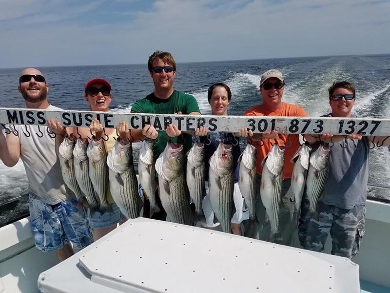 Miss Susie Charters Logo