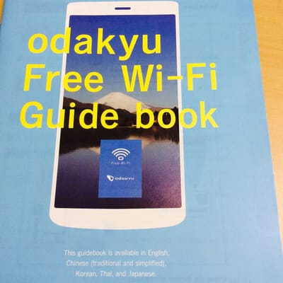 Ōwakudani Station by null