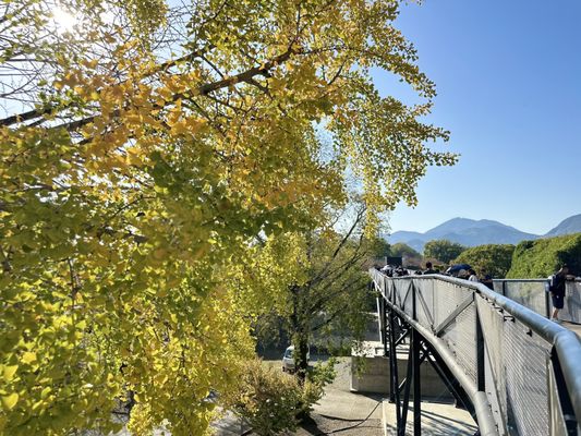 Kumamoto Castle by null