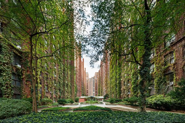 London Terrace by null