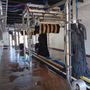 Photo of Cleburne Express Car Wash