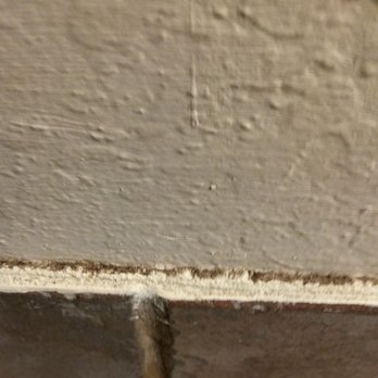 Cinderella Motel - the floor boards - Hotels Near Me - Hollister, California Cinderella Motel - the floor boards - Hotels Near Me - Hollister, California