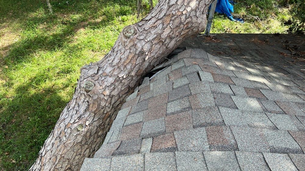 Slide of Phoenix Roofing