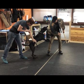 Precision K9 Work - Pet Training Near Me - Leander, Texas