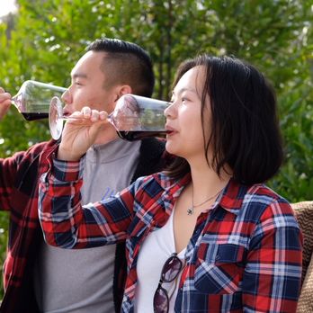 Ladera Vineyards - Wineries Near Me - Calistoga, California
