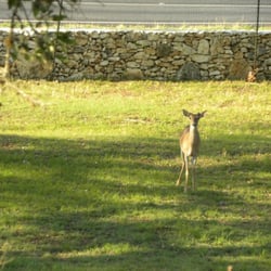Twelve Oaks Bed & Breakfast
