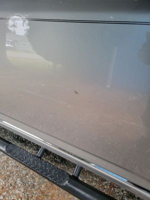 Elephant Car Wash by null