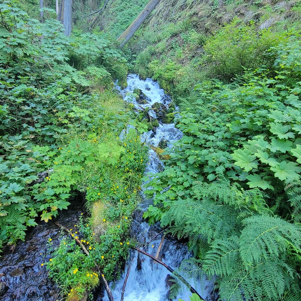 Multnomah Falls - Hiking Near Me - Bridal Veil, Oregon Multnomah Falls - Hiking Near Me - Bridal Veil, Oregon