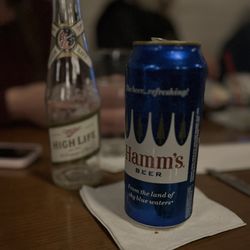 Old Dog Tavern - Beers!