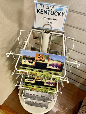 Big Bone Lick State Historic Site by null