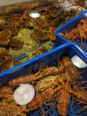 Addiction Aquatic Development by null