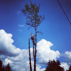 Avid Tree Care