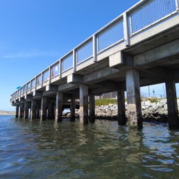 Look out for starfish here! Seafood Harvest has outdoor patio seating on