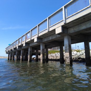 Elkhorn Slough - Look out for starfish here! Seafood Harvest has outdoor patio seating on - Parks Near Me - Moss Landing, California