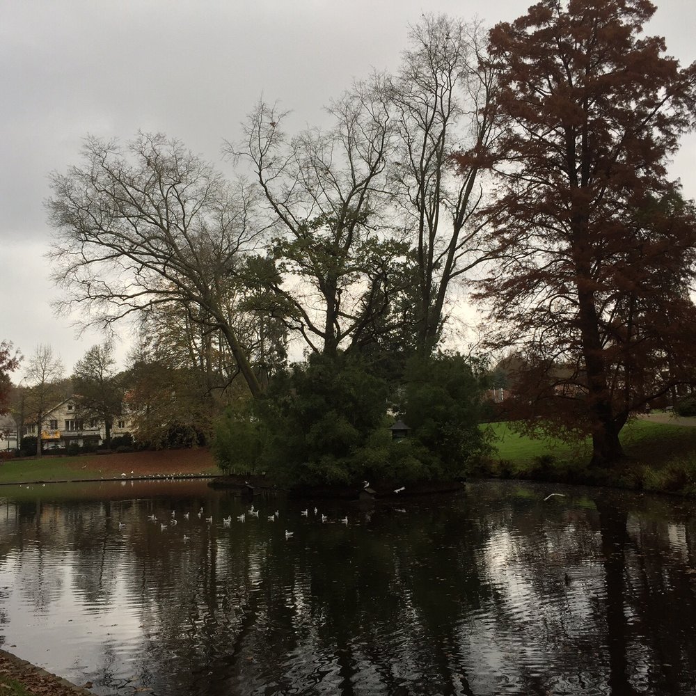 Parc de La Gaudinière - Botanical Gardens Near Me - Orvault, 44