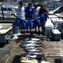 Photo of Miss Michele III Charter Fishing Boat