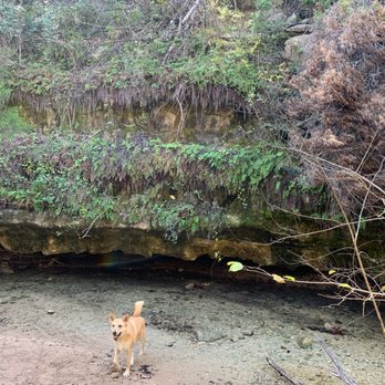 Emma Long Park Turkey Creek Trail - Hiking Near Me - Austin, Texas