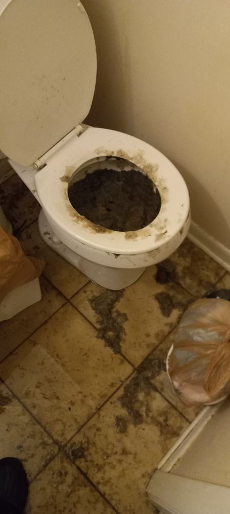 Slide of Senor Rooter