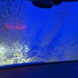Going in the car wash