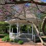 Photo of Lincoln Park
