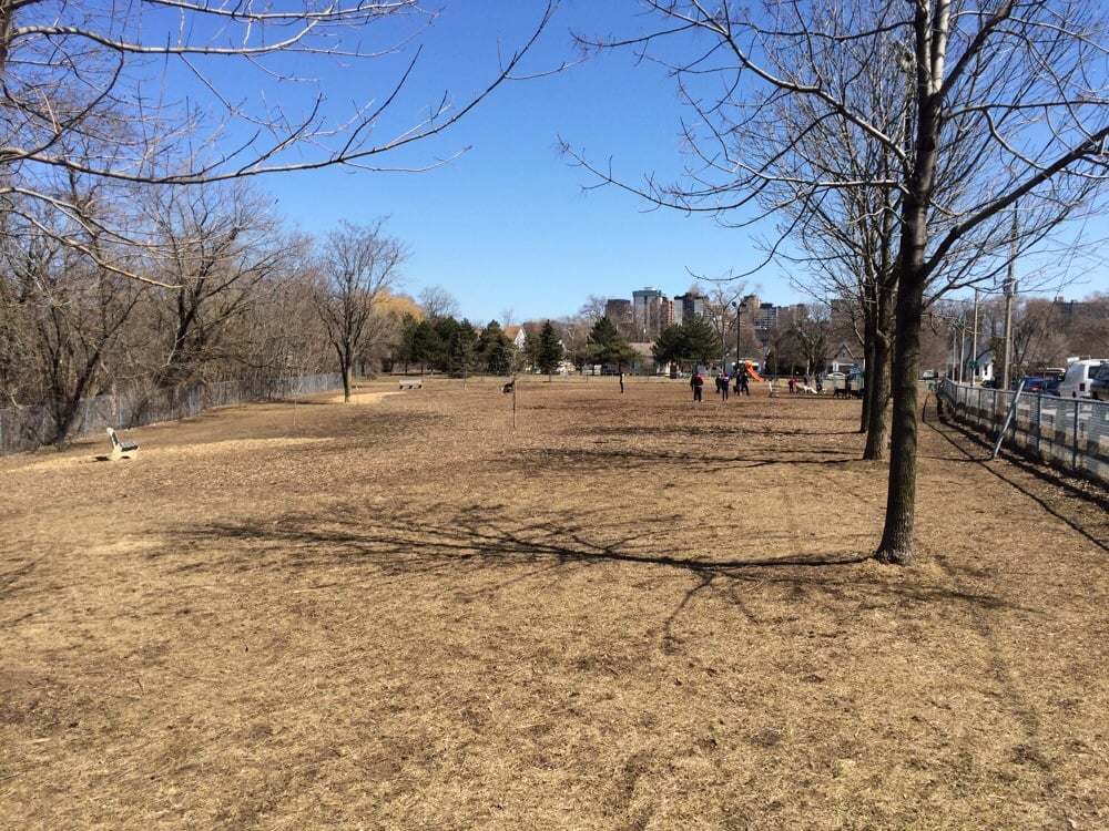 HILL STREET DOG PARK Updated August 2024 13 Hill Street, Hamilton