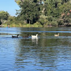 Lodi Lake Nature Trail