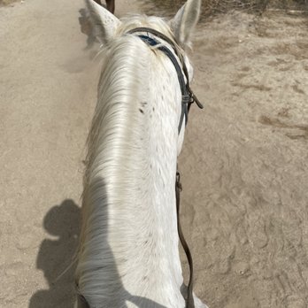Smoke Tree Stables - Spanky giving me an amazing ride. - Horseback Riding Near Me - Palm Springs, California