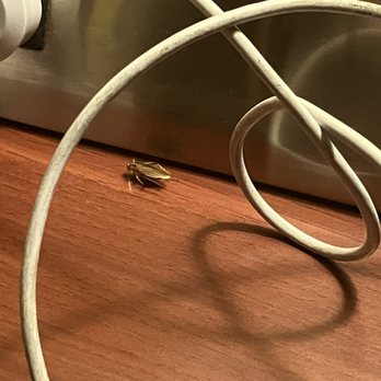 Fairfield Inn & Suites by Marriott El Centro - more roach - Hotels Near Me - El Centro, California Fairfield Inn & Suites by Marriott El Centro - more roach - Hotels Near Me - El Centro, California